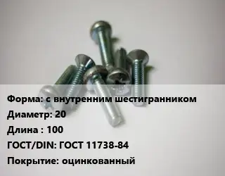 Винт с внутренним шестигранником 20х100 ГОСТ 11738-84 оцинкованный